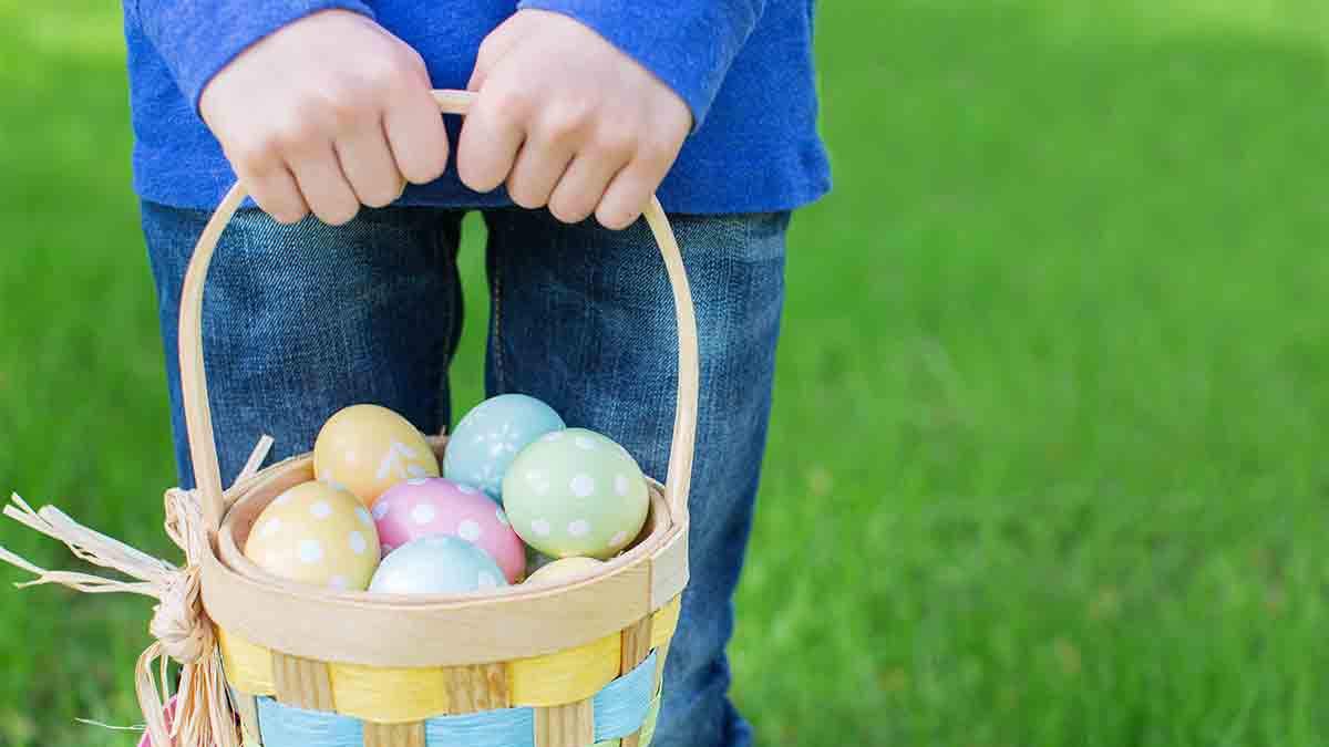 Egg-Citing Egg Hunt and Bunny Breakfast in Fox Lake